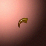 30037_big.png