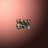 30038_big.png