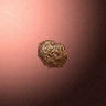 30044_big.png