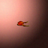30055_big.png