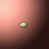 30058_big.png
