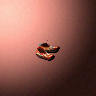 30133_big.png