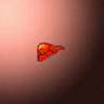 30144_big.png