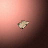 30150_big.png