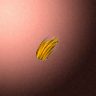 30151_big.png