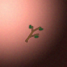 30165_big.png