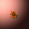 30170_big.png