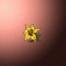 30171_big.png