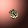 30178_big.png