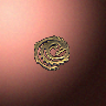 30180_big.png