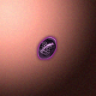 30221_big.png
