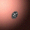 30223_big.png