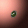 30224_big.png