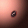 30225_big.png