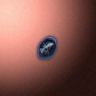 30227_big.png
