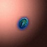 30228_big.png