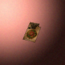 30301_big.png