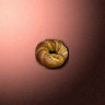 30315_big.png