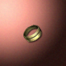 30521_big.png