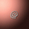 30567_big.png