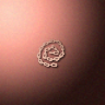 30568_big.png
