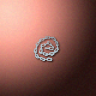30569_big.png
