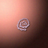 30572_big.png