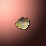31022_big.png