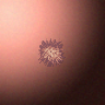 31053_big.png