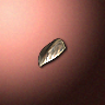 31056_big.png