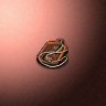 31071_big.png