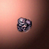 31081_big.png