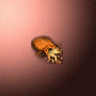 31083_big.png