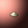 31086_big.png