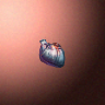 31090_big.png