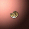 31092_big.png