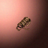 31212_big.png