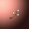 31213_big.png