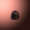 45005_big.png