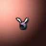 45119_big.png