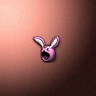 45122_big.png