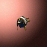 45184_big.png