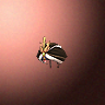 45198_big.png
