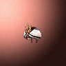 45199_big.png