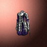 46050_big.png