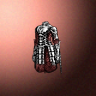 46060_big.png