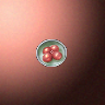 50015_big.png