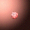50016_big.png