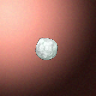 50017_big.png