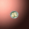 50020_big.png